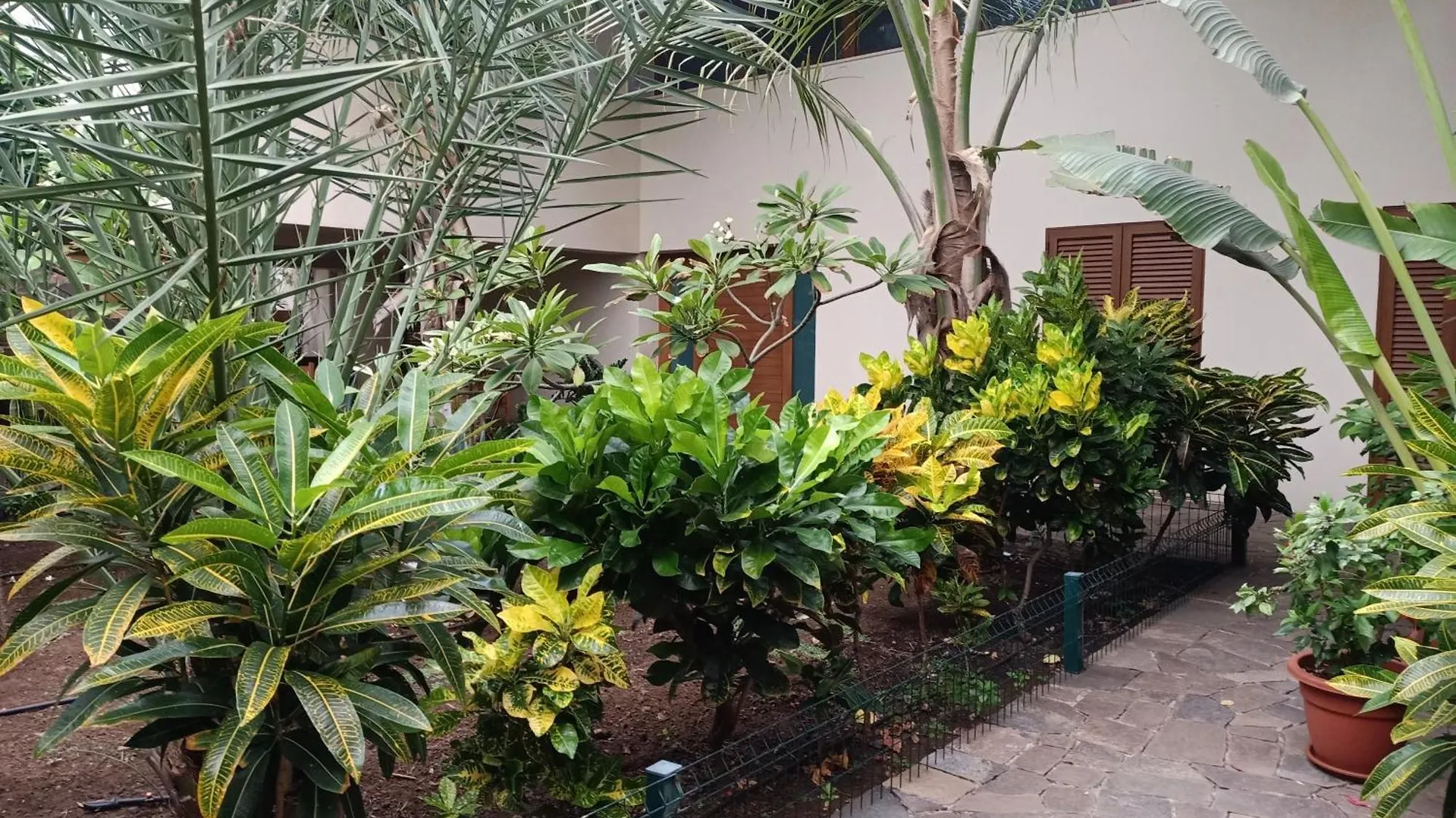 Casa Das Buganvilias Praia 0*,  Cabo Verde